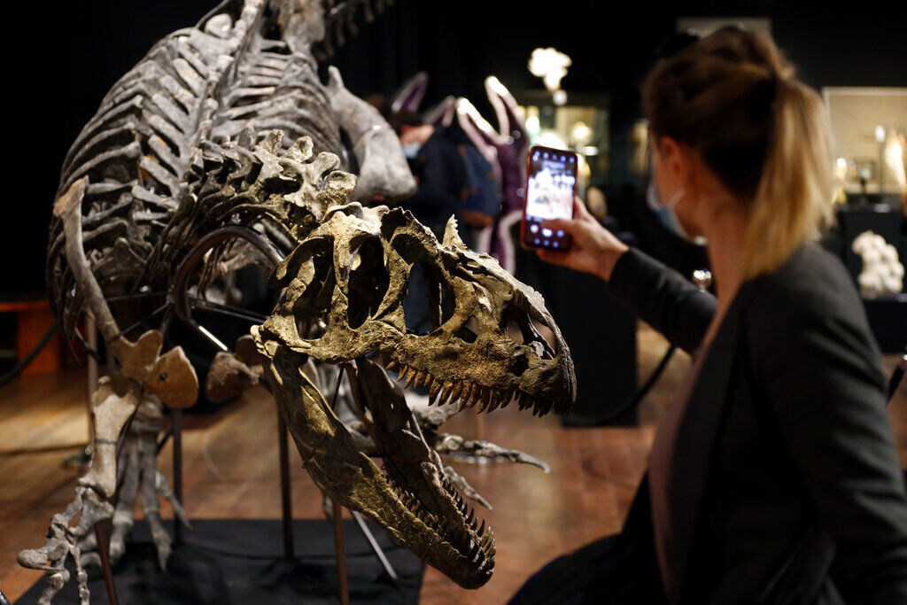 APTOPIX France Dinosaur Auction